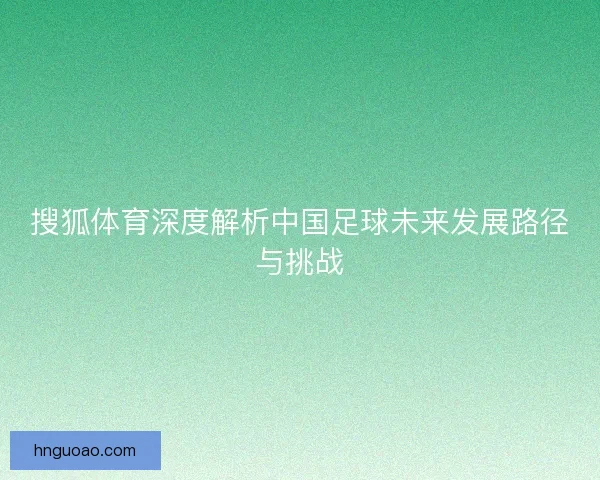 搜狐体育深度解析中国足球未来发展路径与挑战