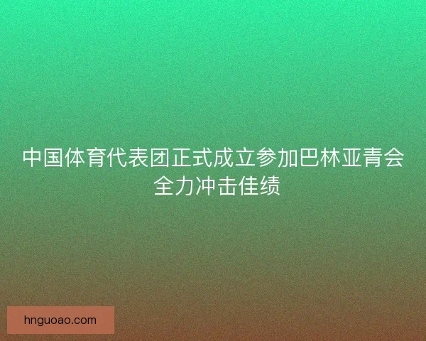 中国体育代表团正式成立参加巴林亚青会 全力冲击佳绩