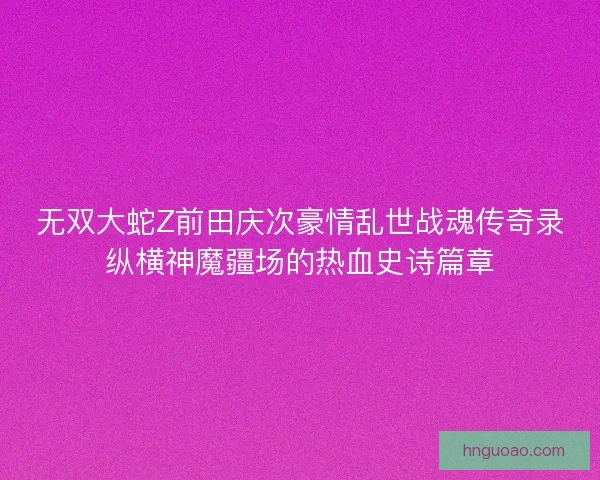 无双大蛇Z前田庆次豪情乱世战魂传奇录纵横神魔疆场的热血史诗篇章